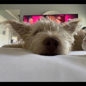 Meet your Posher, Karla